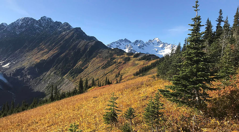 “The Gold Rush Is Over”: First Nations chiefs celebrate mining exploration court decision