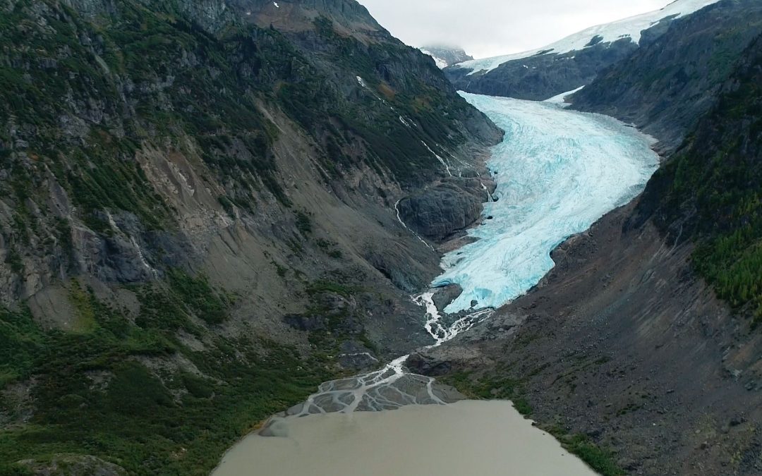 As Glaciers Retreat, Mining Claims Threaten Future B.C. Salmon Habitats: Study