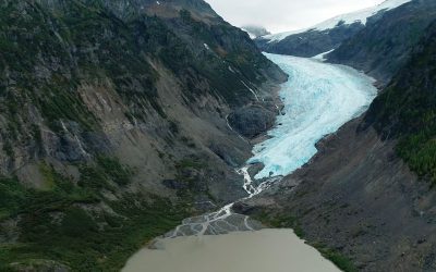 As glaciers retreat, mining claims threaten future B.C. salmon habitats: study