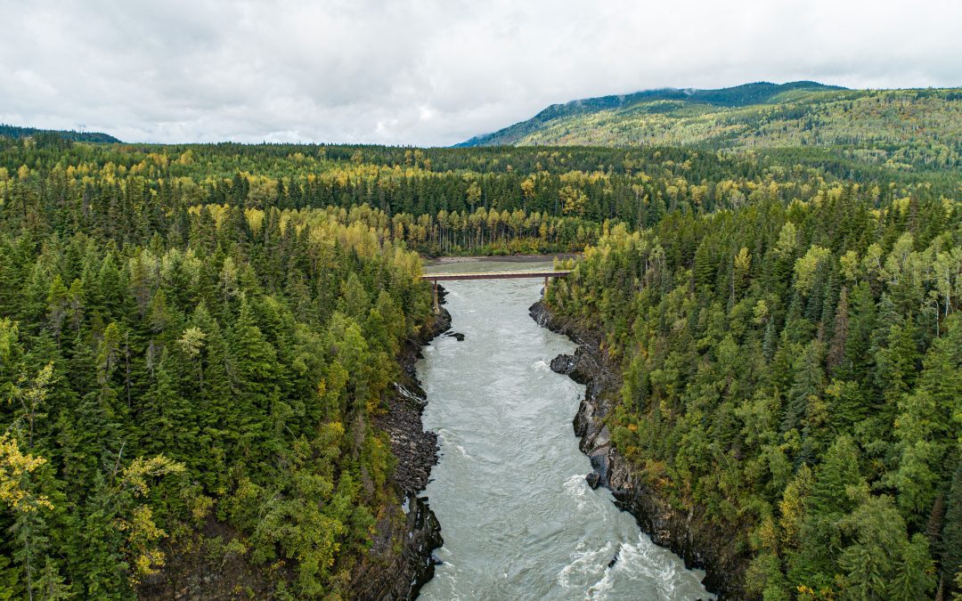 Gitanyow, Nisga’a Fight Over Nass Wildlife Area