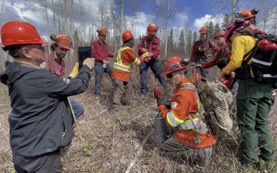 Resurrection By Fire